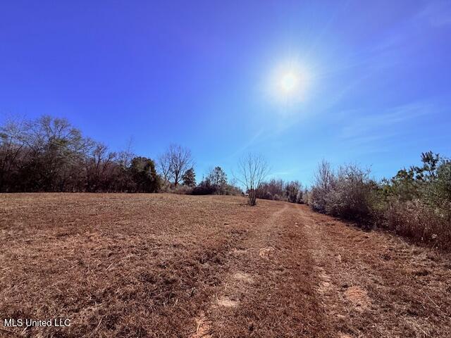 Tbd Sims Thornhill Road Tylertown, MS 39667 - Photo 4 of 31 IMG_1993