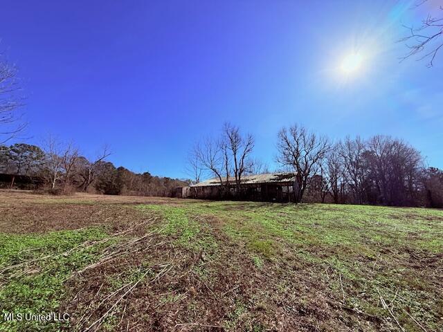 Tbd Sims Thornhill Road Tylertown, MS 39667 - Photo 5 of 31 IMG_1995