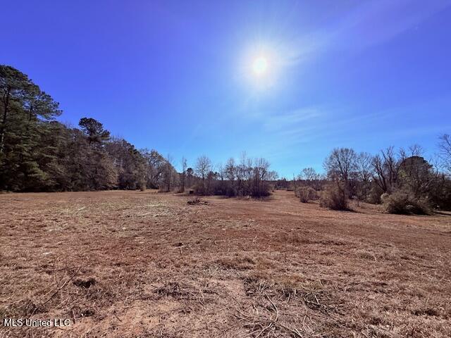 Tbd Sims Thornhill Road Tylertown, MS 39667 - Photo 10 of 31 IMG_2001