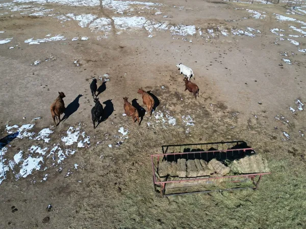 $1,375,000 | 12296 Highway 26, Riverton, WY 82501