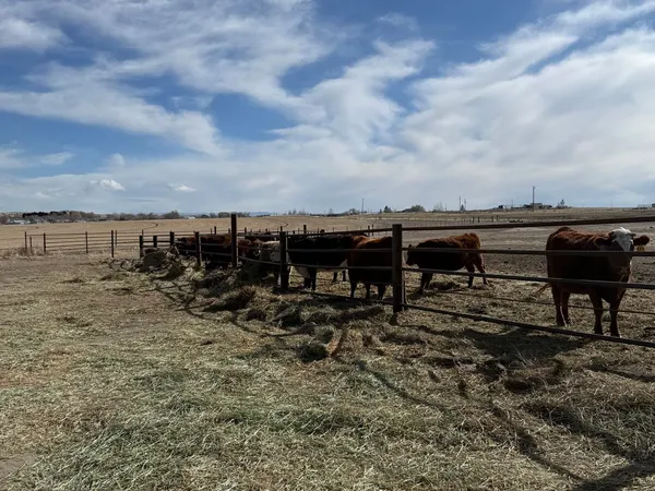 $1,375,000 | 12296 Highway 26, Riverton, WY 82501
