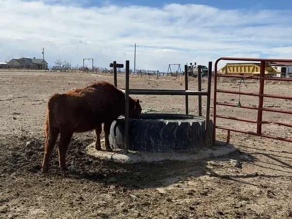 $1,375,000 | 12296 Highway 26, Riverton, WY 82501