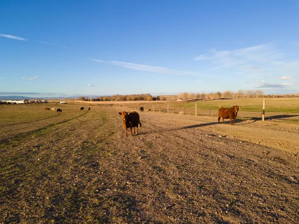 $1,375,000 | 12296 Highway 26, Riverton, WY 82501