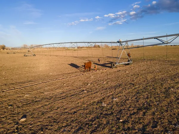 $1,375,000 | 12296 Highway 26, Riverton, WY 82501