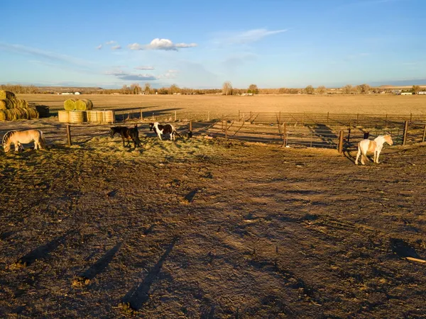 $1,375,000 | 12296 Highway 26, Riverton, WY 82501