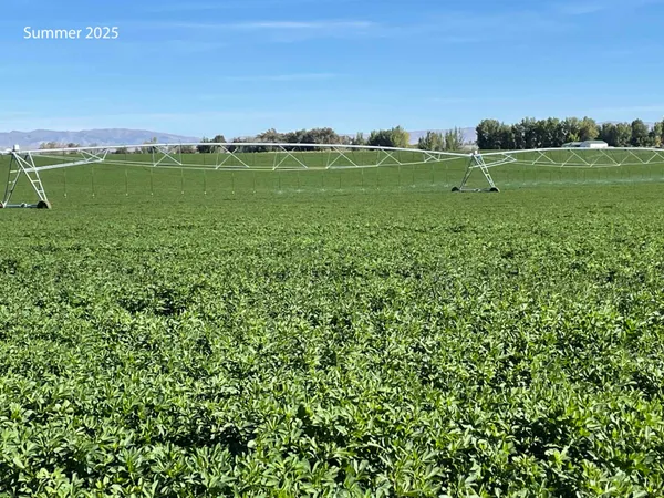 $1,375,000 | 12296 Highway 26, Riverton, WY 82501