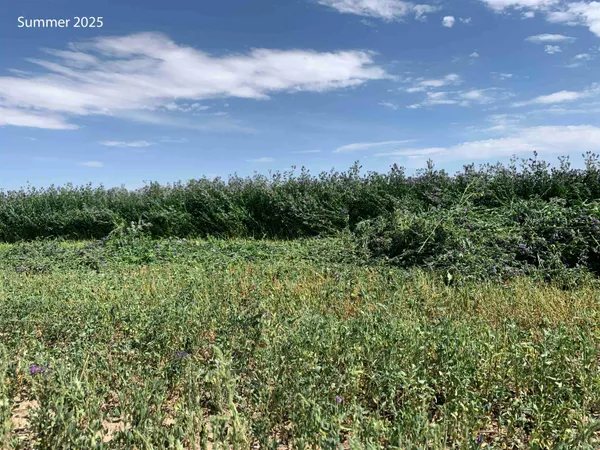 $1,375,000 | 12296 Highway 26, Riverton, WY 82501