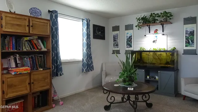 a living room with furniture and a book shelf
