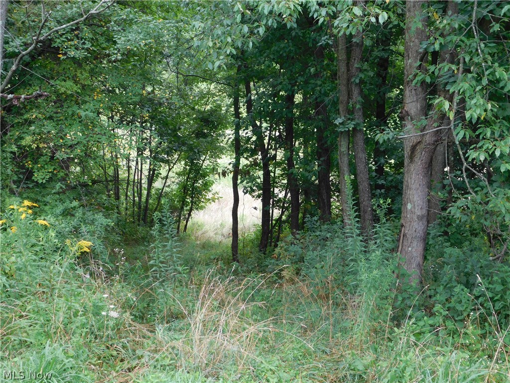 Lorric Road Northwest Minerva, OH 44657 - Photo 19 of 34 Gallery Image 19