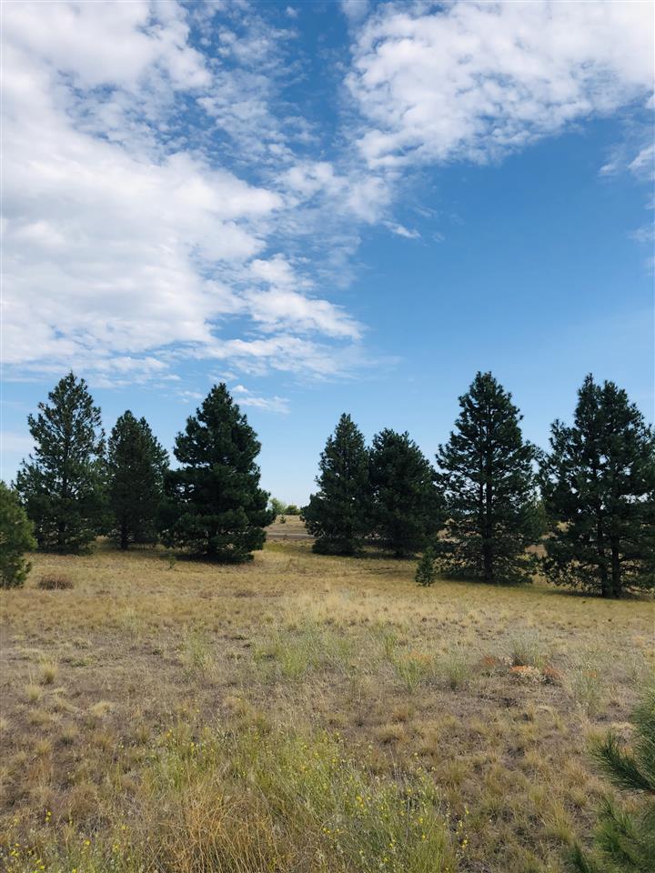 0 South Bartholomew Road, Unit LOT 14 Medical Lake, WA 99022 - Photo 1 of 5 Gallery Image 1