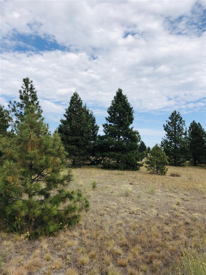 0 South Bartholomew Road, Unit LOT 14 Medical Lake, WA 99022 - Photo 2 of 5 Gallery Image 2