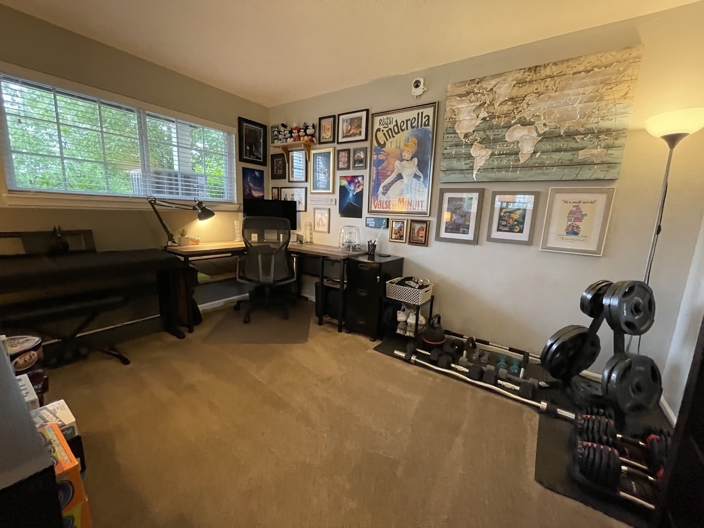 4363 Timber Ridge Court Joliet, IL 60431 - Photo 14 of 18