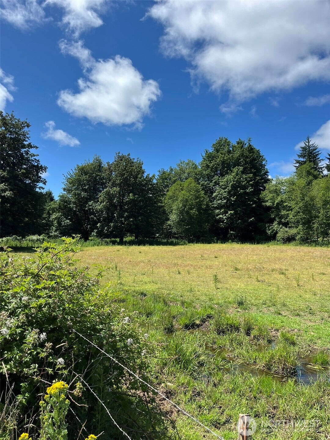 0 Cougar Smith Road Montesano, WA 98563 - Photo 12 of 16 a view of outdoor space and yard
