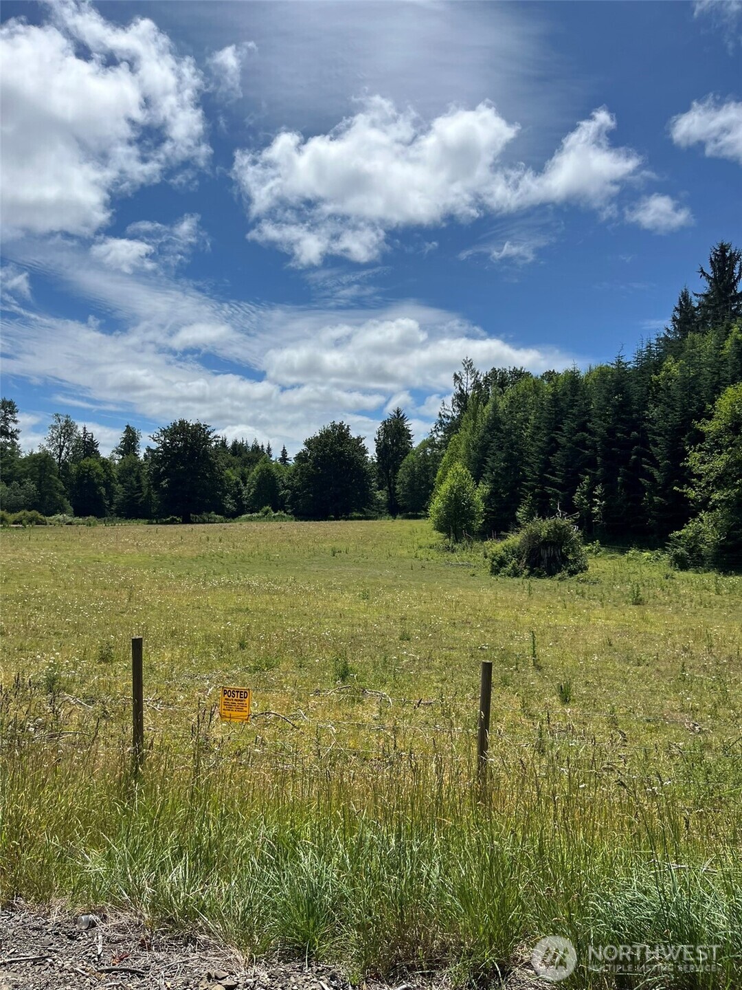 0 Cougar Smith Road Montesano, WA 98563 - Photo 14 of 16 a view of a lake with a yard