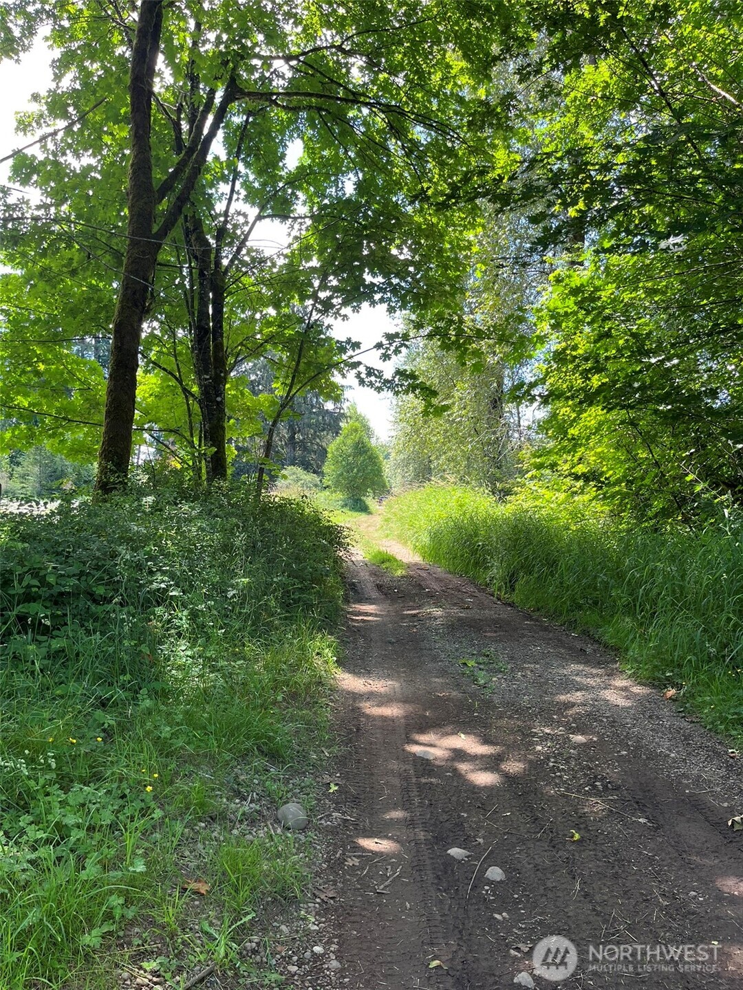 0 Cougar Smith Road Montesano, WA 98563 - Photo 3 of 16 a backyard of a house with lots of green space