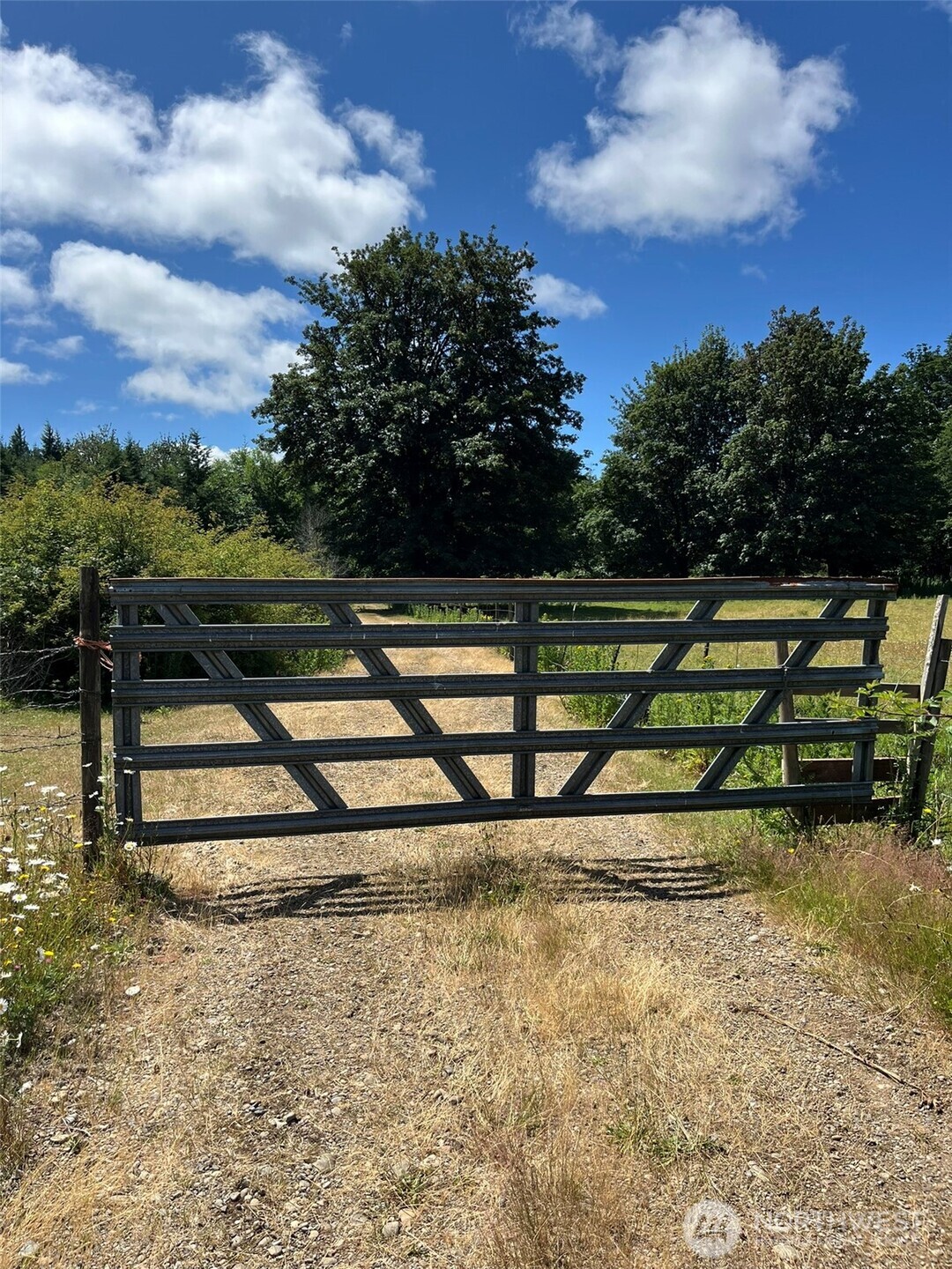 0 Cougar Smith Road Montesano, WA 98563 - Photo 5 of 16 a view of outdoor space