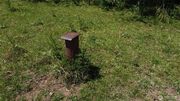 a view of a yard