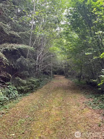 a view of a yard with a tree