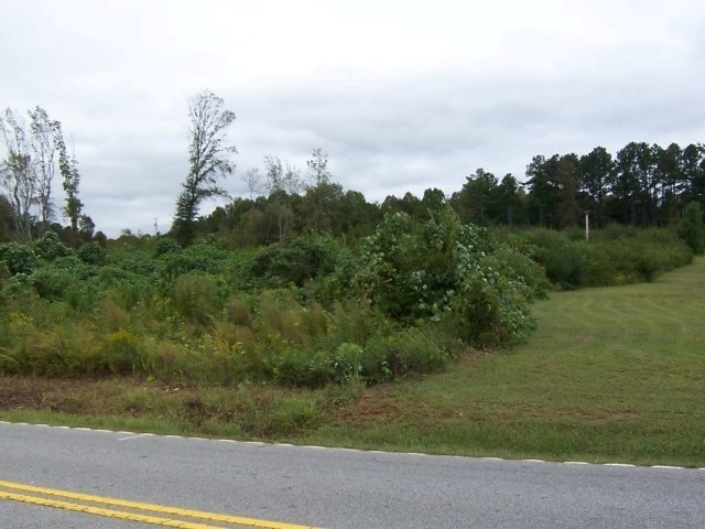 Crittter Road Westminster, SC 29693 - Photo 4 of 7 Gallery Image 4