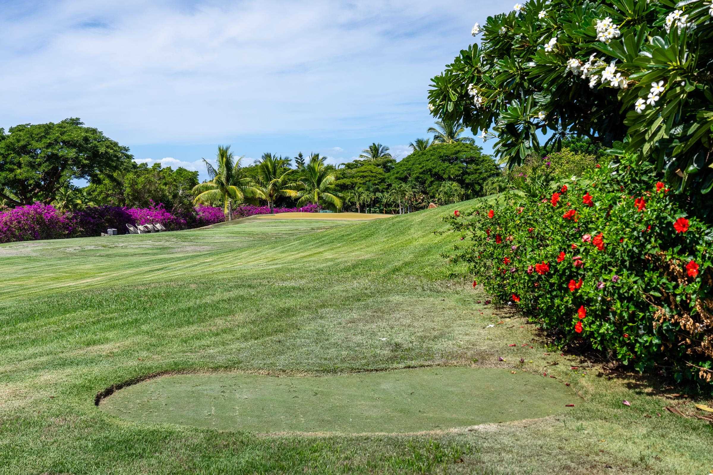 936 Punakea Loop Lahaina, HI 96761 - Photo 25 of 35 a view of a garden with flowers and trees