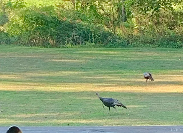 $349,900 | 290 Green Acres Drive, Evington, VA 24550