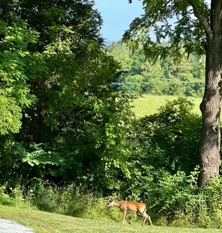 $349,900 | 290 Green Acres Drive, Evington, VA 24550