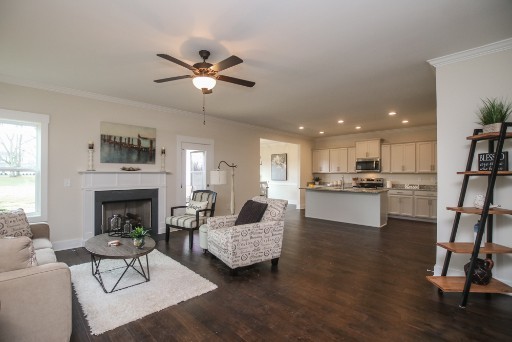 487 Norene Road Lebanon, TN 37090 - Photo 4 of 24 a living room with furniture and a fireplace