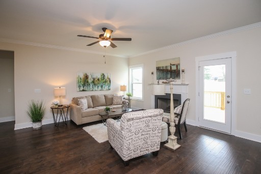 487 Norene Road Lebanon, TN 37090 - Photo 6 of 24 a living room with furniture fireplace and a window