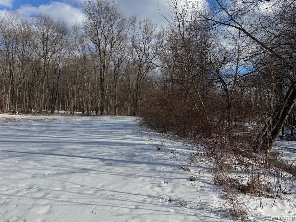 0 Remer Road East China, MI 48054 - Photo 4 of 12 Gallery Image 4