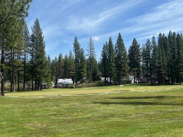 101 Poplar Valley Road Blairsden, CA 96103 - Photo 3 of 21