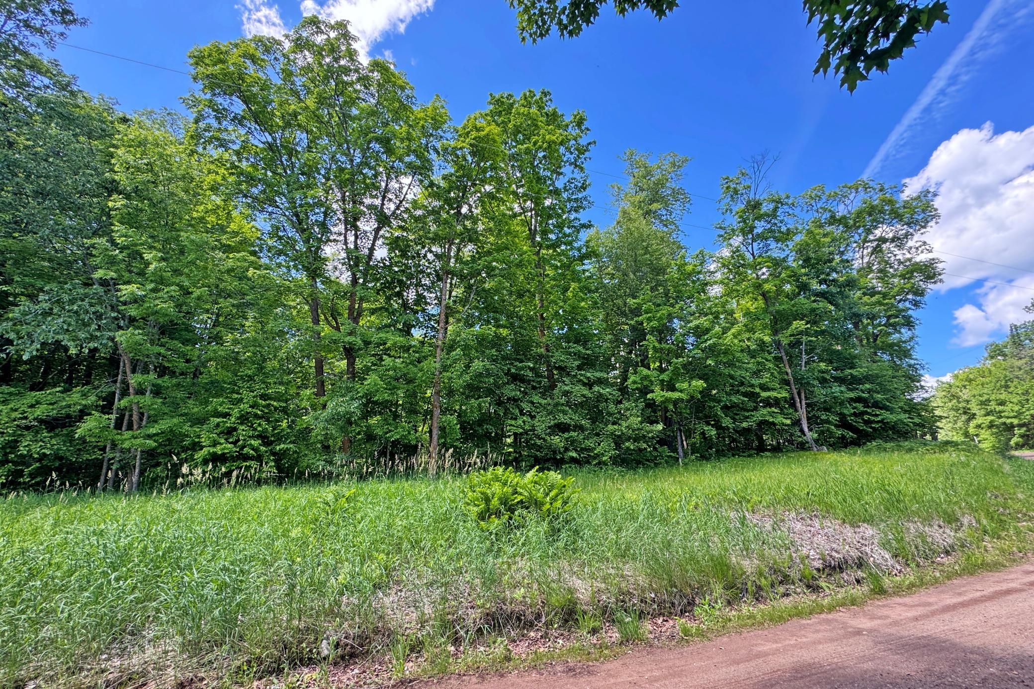 0 Perry Lake Road Crosby, MN 56441 - Photo 20 of 42