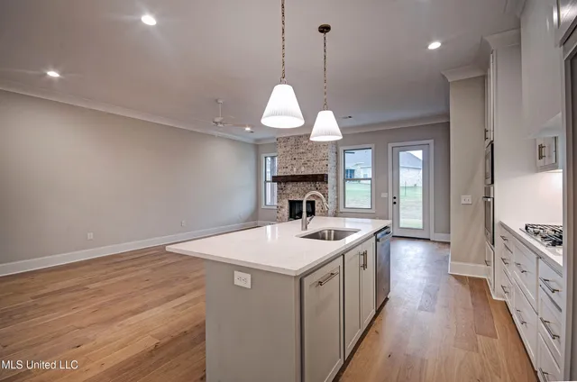 $359,900 | 117 Southern Oak Way, Unit LOT 51, Canton, MS 39046