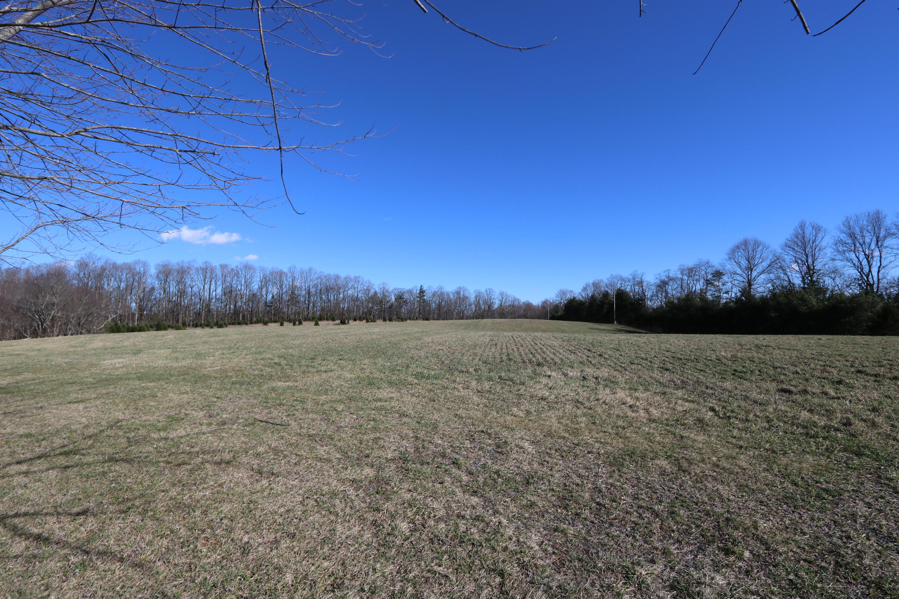 110 Renfro Rdg Road Hillsville, VA 24343 - Photo 54 of 57 IMG_6504