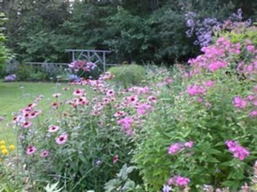 311 Cottrell Road Dixmont, ME 04932 - Photo 4 of 31 Yard/Garden. Flowers attract a...