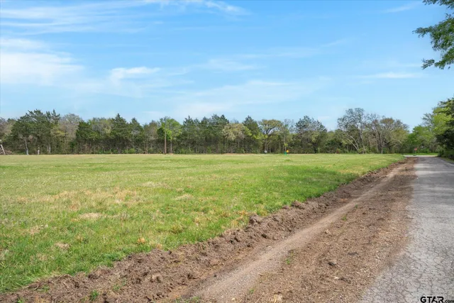 a view of a field with an ocean