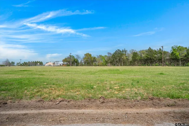 a view of a field with an trees