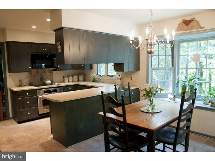 183 Almshouse Road Doylestown, PA 18901 - Photo 16 of 25 Kitchen