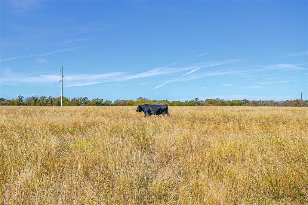 2 County Road 410 Road Alvarado, TX 76009 - Photo 11 of 11 a view of a lake view