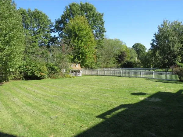 a view of a trees in a yard