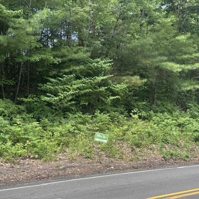 44.1 Lovell Lake Road Sanbornville, NH 03872 - Photo 4 of 13