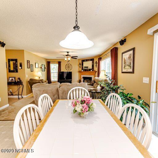 386 Ingram Branch Road West End, NC 27376 - Photo 12 of 47 ing BN
