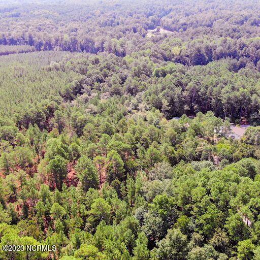 386 Ingram Branch Road West End, NC 27376 - Photo 44 of 47 ing air4