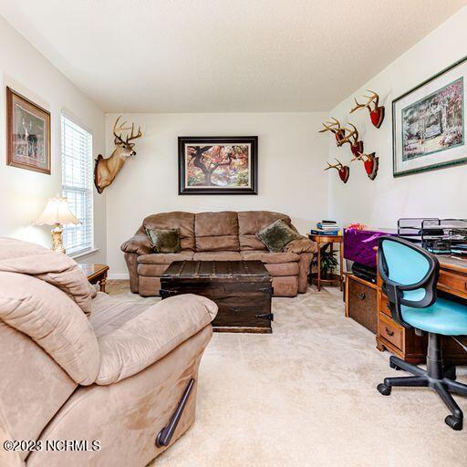 386 Ingram Branch Road West End, NC 27376 - Photo 7 of 47 ing den