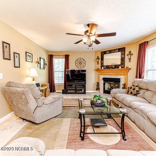 386 Ingram Branch Road West End, NC 27376 - Photo 8 of 47 ing living