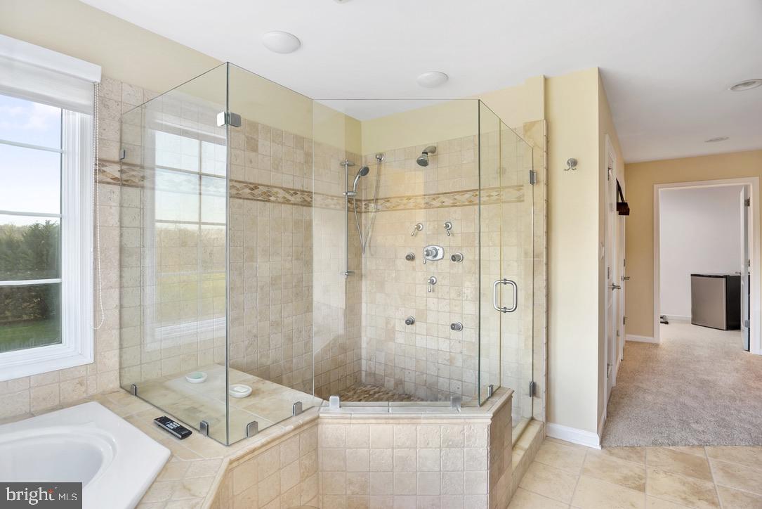 1010 Sassafrass Road Warwick, MD 21912 - Photo 46 of 97 Jetted shower