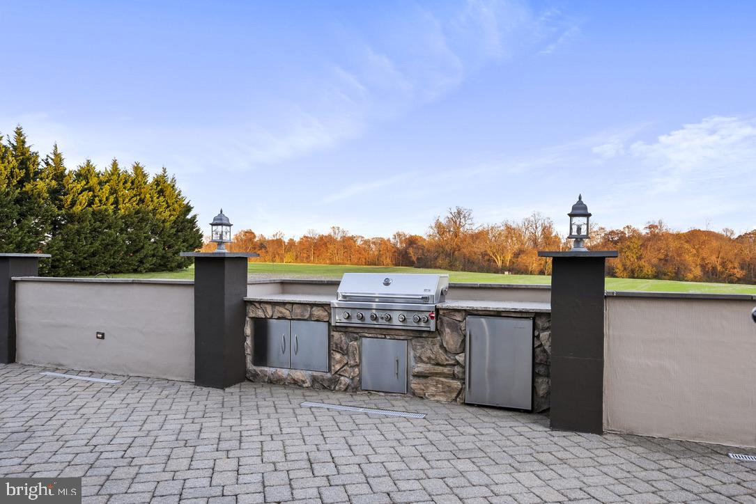 1010 Sassafrass Road Warwick, MD 21912 - Photo 80 of 97 Built-in grill & refrigerator