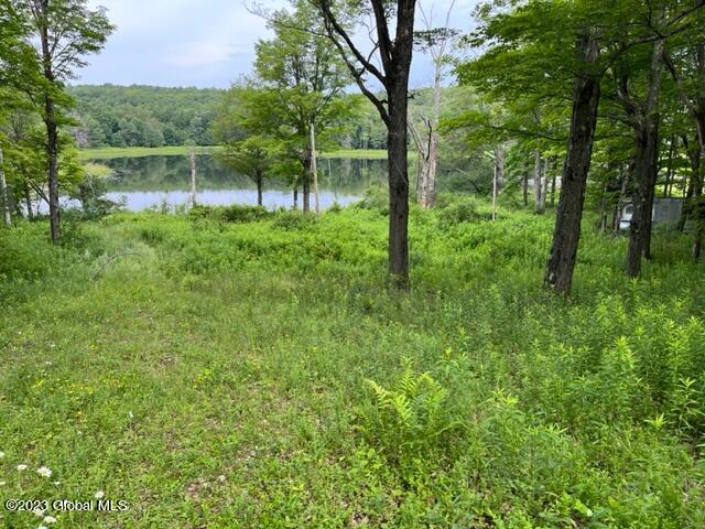 61 Thunder Hill Road Rensselaerville, NY 12147 - Photo 1 of 10 IMG_1908