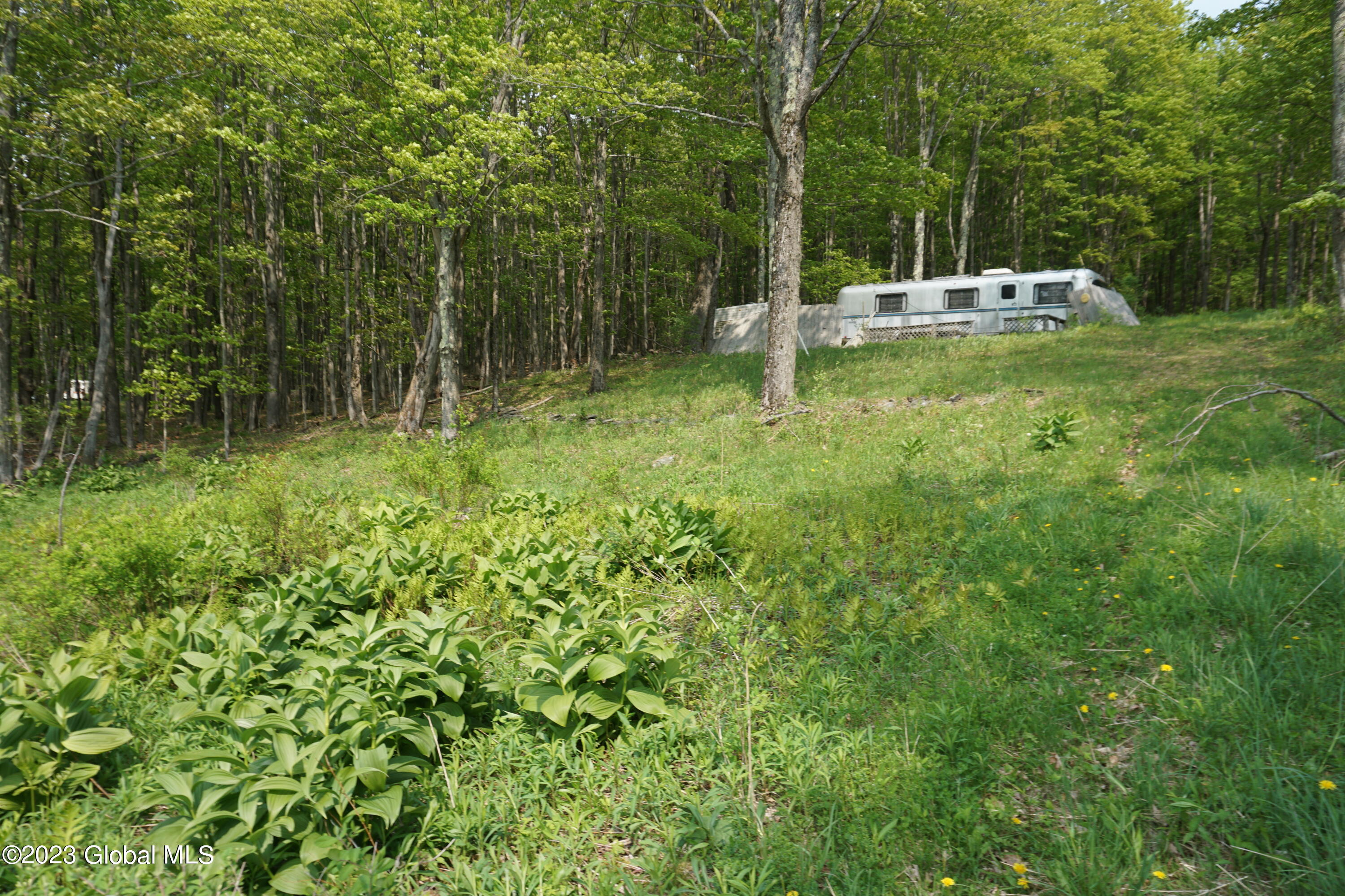 61 Thunder Hill Road Rensselaerville, NY 12147 - Photo 7 of 10 DSC02715
