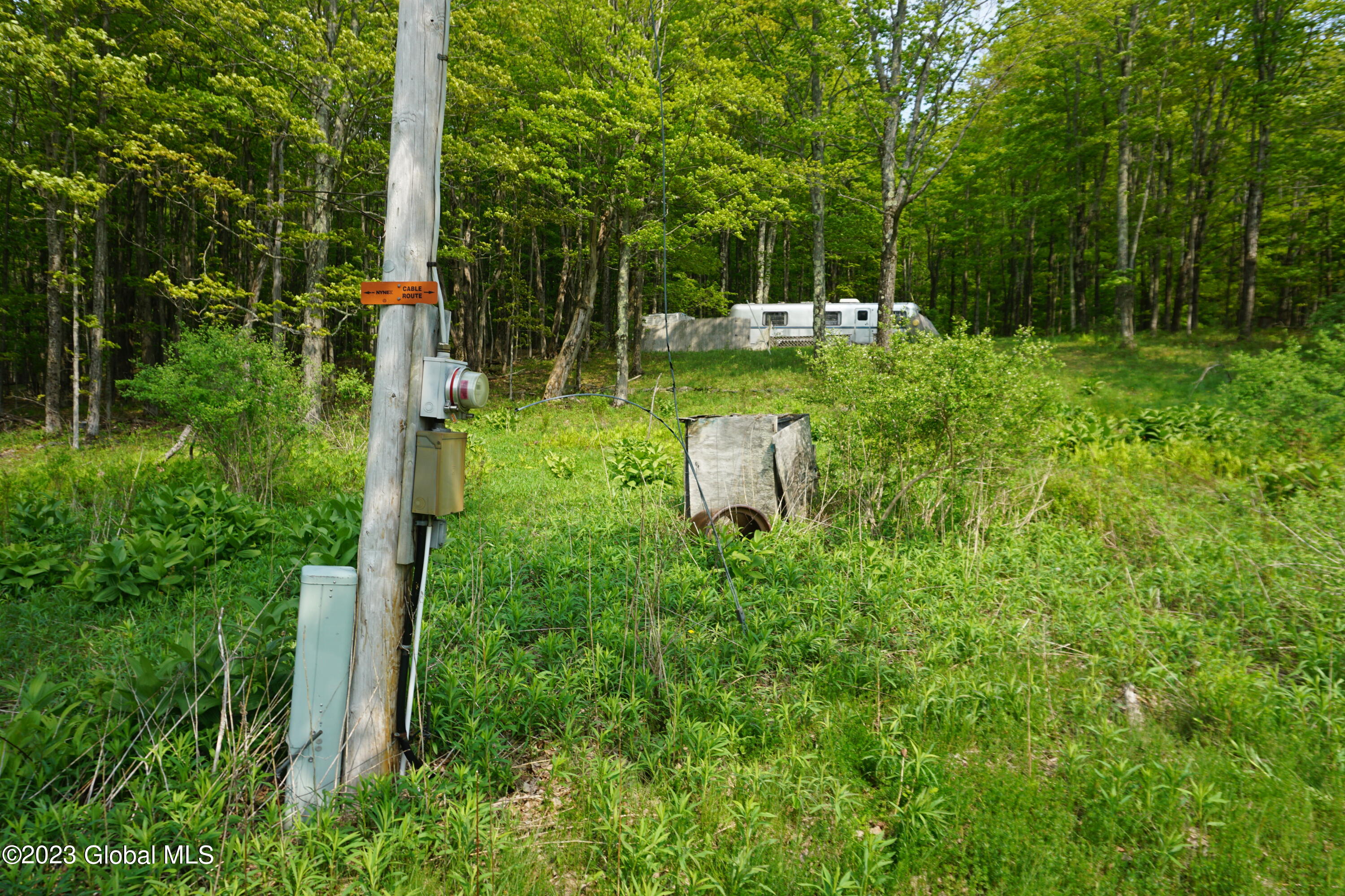 61 Thunder Hill Road Rensselaerville, NY 12147 - Photo 8 of 10 DSC02717
