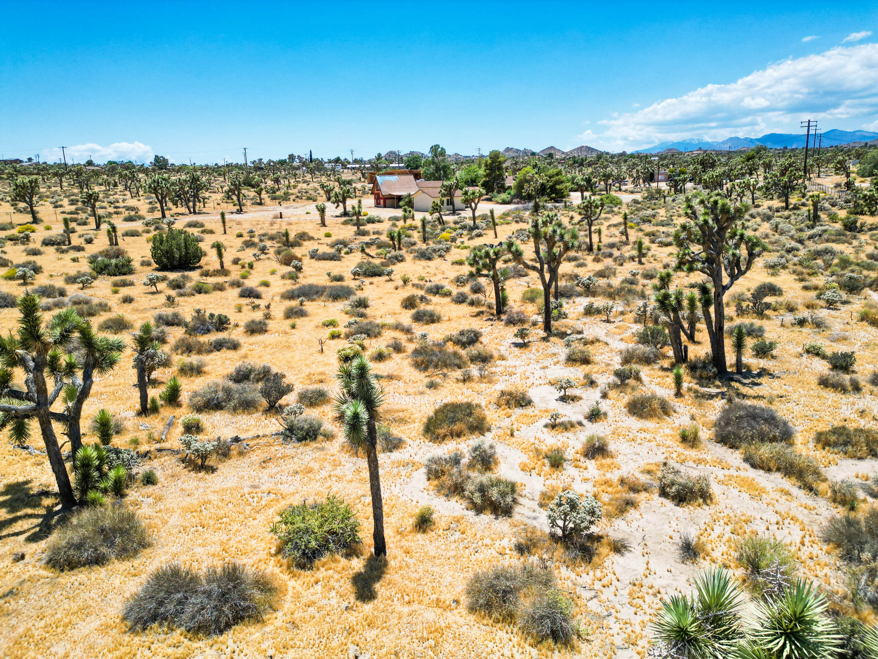 5260 Roberts Road Yucca Valley, CA 92284 - Photo 13 of 61 DJI_0090